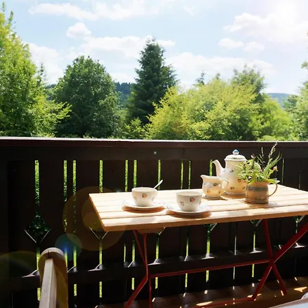Gemuetliche Mit Blick Ins Gruene アパート ツヴィーゼル